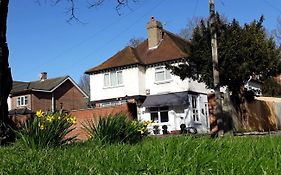 Wilson Lodge